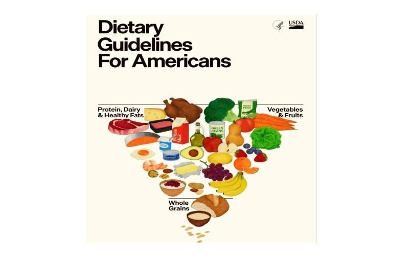 Противоречия политика и недоступность правильных продуктов Что не так с новой американской пирамидой питания Минздрав США представил кардинально обновленные рекомендации в сфере питания которые фактически перевернули существующую и привычную для всех пирамиду здорового питания The Dairynews спросил экспертов с чем связаны изменения поможет ли соблюдение новых правил американцам вести здоровый образ жизни Подробнее