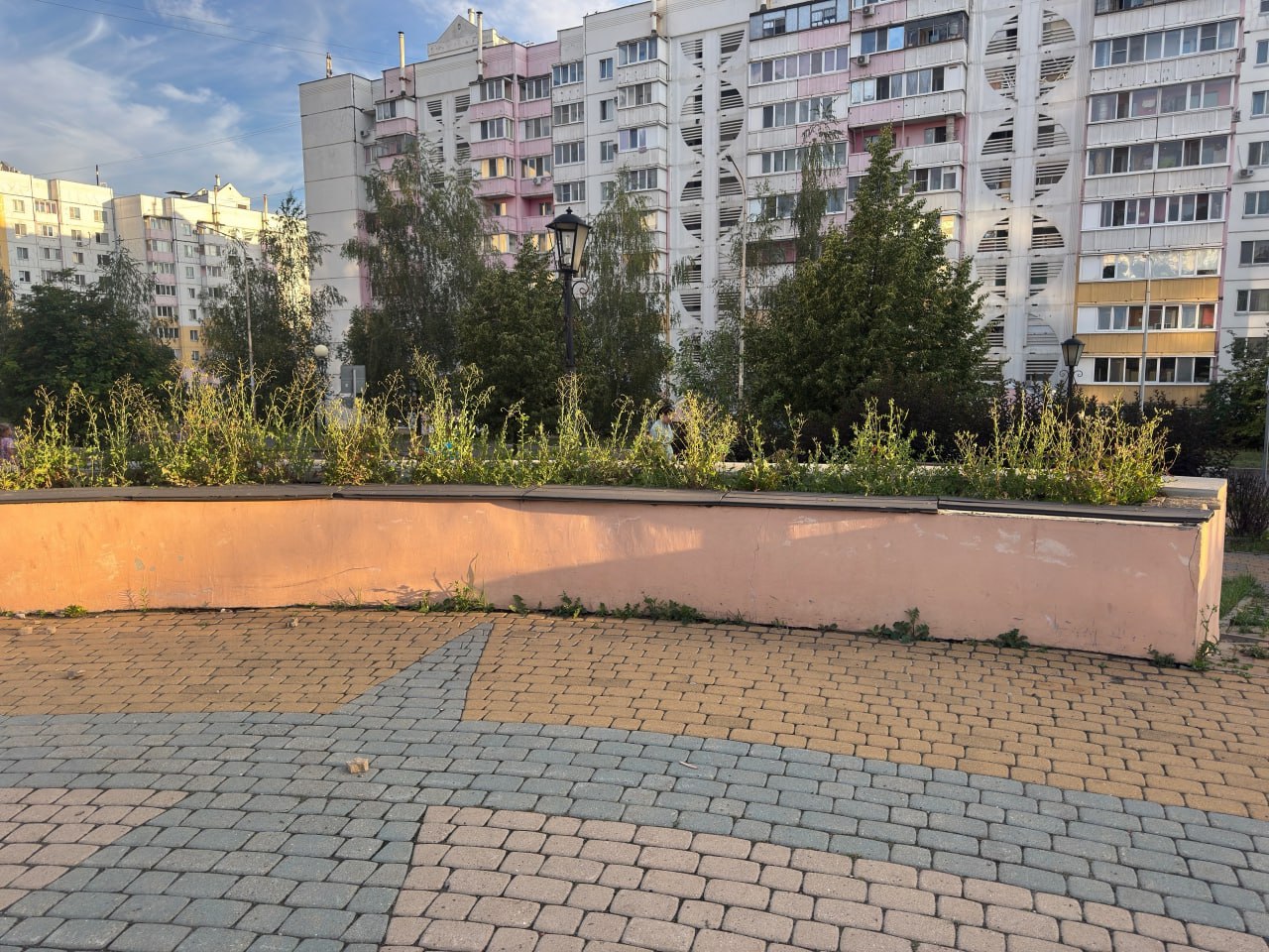 Белгородцы попросили благоустроить поросший сорняком Егоровский сквер на Харьковской горе Жительница Харьковской горы в Белгороде попросила благоустроить заросший сорняками Егоровский сквер на бульваре Юности. Свой комментарий белгородка оставила на странице мэра Белгорода Валентина Демидова. По словам женщины, на этот сквер, где гуляют взрослые и дети невозможно взглянуть без слёз: прогулочная зона и клумбы заросли сорной травой, а цветы в этом году власти решили вовсе не сажать. Валентин Демидов ответил женщине, что скверу требуется капитальный ремонт, однако на очередь он может попасть только по голосованию в 2027 году. На просьбы женщины хотя бы привести в порядок клумбы и высадить цветы, градоначальник ответил просто: уборка сквера проводится регулярно, но вот высаживать цветы до капремонта «нецелесообразно». Поддержать бустом