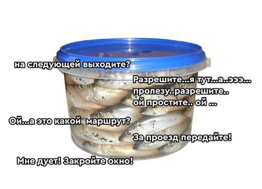 Каникулы закончились дороги загружены сентябрьские пробки набирают обороты А автобусы должны выходить на рейсы вовремя чтобы жители Улан Удэ не опаздывали на учебу и работу МТС развернула систему дистанционного видеонаблюдения для городского автобусного парка Стало проще контролировать территорию и следить чтобы транспорт был в порядке и в срок проходил техобслуживание Теперь автобусы выходят на линию по графику а улан удэнцы получают предсказуемый и безопасный общественный транспорт даже в час пик