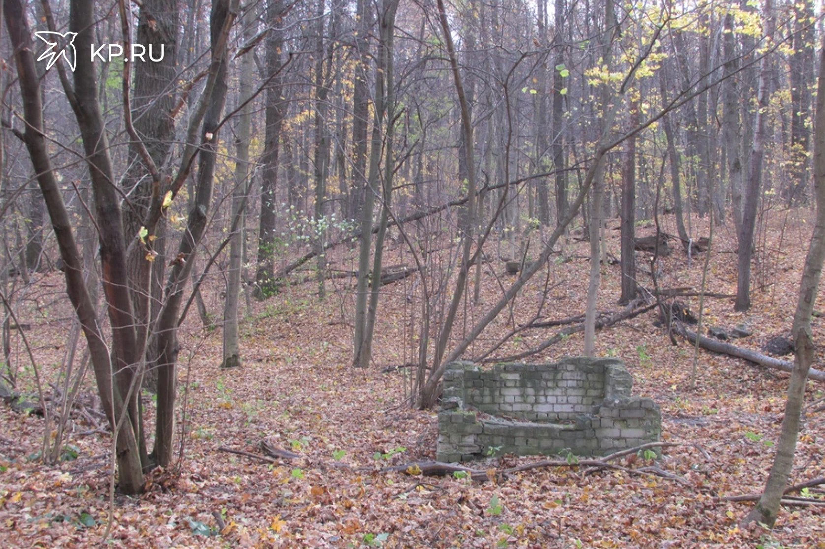 В Воронежской области за неделю без вести пропали 16 человек За неделю с 27 октября по 2 ноября в поисковый отряд ЛизаАлерт Воронеж принял 16 заявок на поиски без вести пропавших Из них семерых нашли живыми Один человек погиб Троим потерявшимся волонтеры разыскали родственников Четыре заявки оказались ложными Часть заявок были закрыты после того как потерявшиеся либо вернулись домой самостоятельно либо были найдены родственниками Также были заявки на срочные поиски детей 8 летнего и 13 летнего К счастью ребята нашлись Сейчас они находятся в безопасности