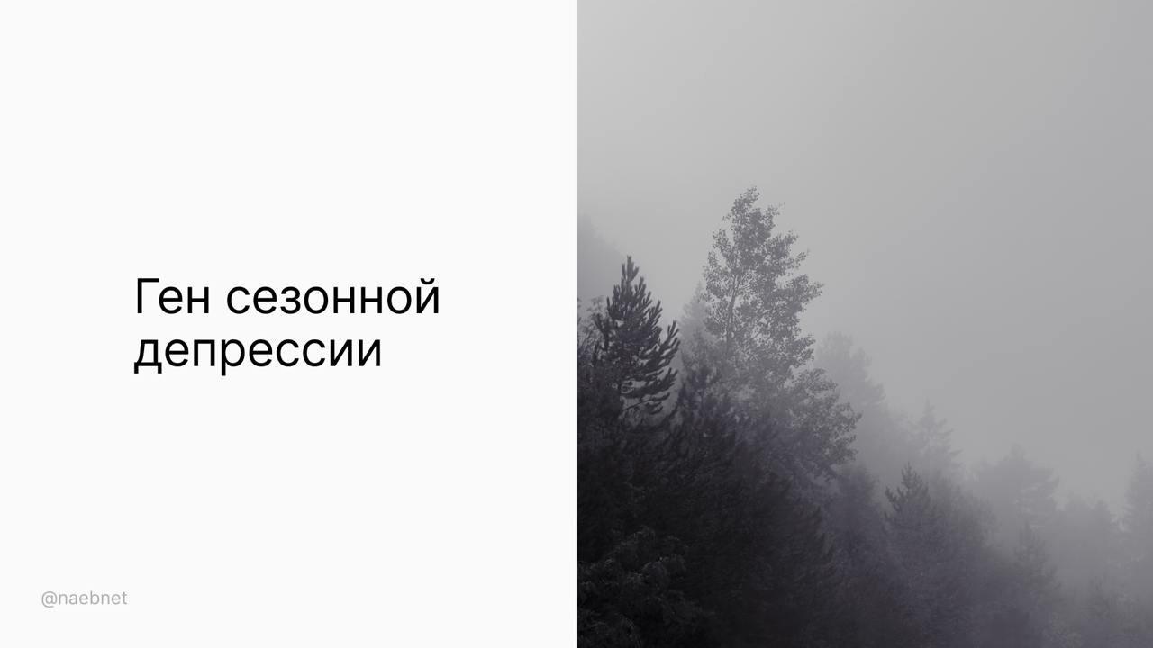 У 10% россиян нашли склонность к осенней депрессии на генетическом уровне.  Недавнее исследование открыло мутацию в белке ZBTB20 — он влияет на настроение и биоритмы. Людям c такой мутацией требуется больше солнечного света для поддержания бодрости и нормального режима дня.  Если чувствуете, что устаете сильнее обычного, можно сделать анализ ДНК и чаще гулять под солнцем.  Мы не грустные, просто гены такие.