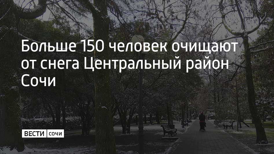 170 рабочих работают в Центральном районе с самого утра. Снег убирают при помощи двух комбинированных дорожных машин, четырех грузовиков и трактора, сообщили в мэрии.  В Центральном районе еще утром расчистили Цветной бульвар, улицы Санаторную, Конституции и Трунова. В Адлерском районе основной объем работ в горных районах. Коммунальщики вручную расчищают тротуары и подходы к остановкам и соцобъектам.