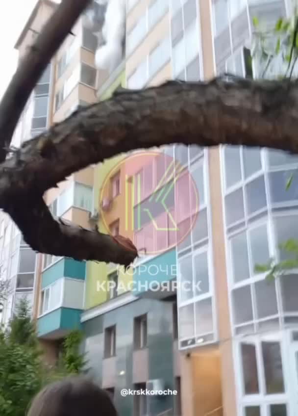 Короткое замыкание стало причиной пожара в Красноярске, 12 человек эвакуированы