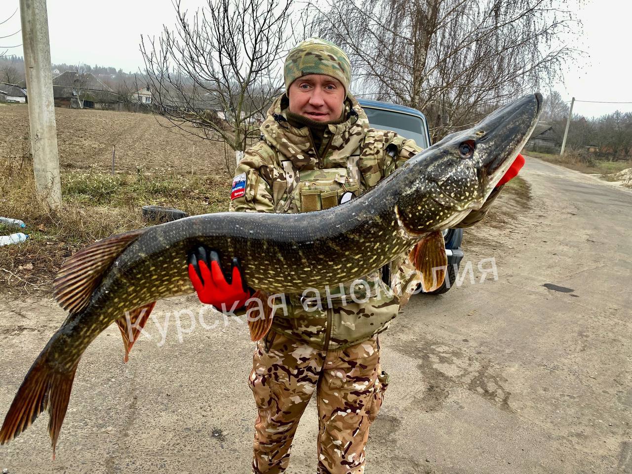 Новый рекорд курских рыбаков.  Щуку весом 9 200 Валентин Спесивцев поймал в Рыльском районе.  ПОДПИСАТЬСЯ    ПРЕДЛОЖИТЬ НОВОСТЬ