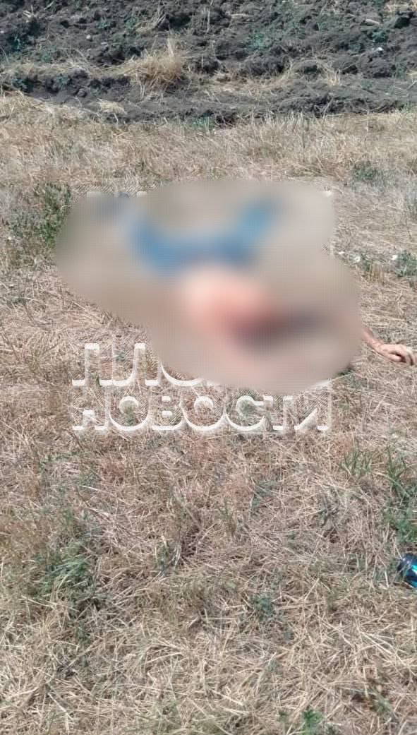 На Ставрополье компания мужчин отрезала приятелю голову, пишут тг-каналы  По информации источников, мужчины поссорились во время застолья. Один обозвал другого, чем вызвал негатив у остальных присутствующих. Обидчика избили, затем отрезали голову и выкинули труп на обочине.  Стоит отметить, что официальной информации от ведомств пока не было.  В курсе   Новости Ставрополья   предложить новость