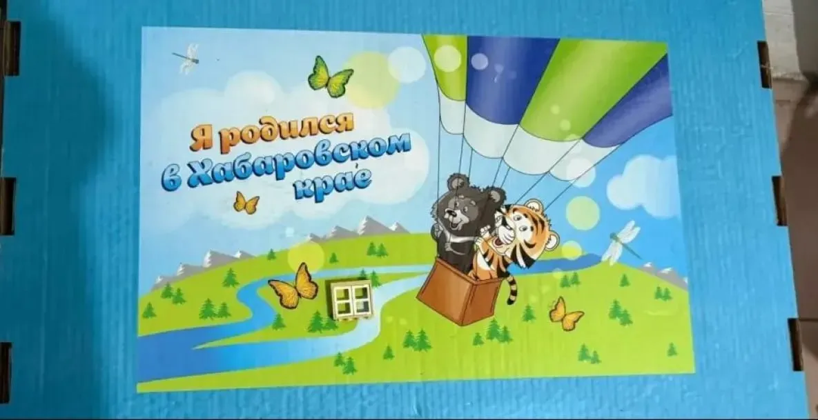 Подарок для новорождённых вручают мамам в Хабаровском крае С начала года новоиспечённым мамам в Хабаровском крае вручили 1 855 подарочных комплектов для новорожденных В него входят предметы первой необходимости средства личной гигиены для малыша многофункциональный матрас и другие полезные вещи которые понадобятся в первые дни жизни новорожденного Этот подарочный набор вручается маме при выписке из родильного дома либо в центре социальной поддержки населения по месту жительства в течение трёх месяцев со дня рождения ребёнка Право на получение комплекта имеют семьи в которых родился ребёнок при условии постоянной регистрации на территории Хабаровского края либо если факт проживания установлен в судебном порядке Подпишись ХКС ХКС