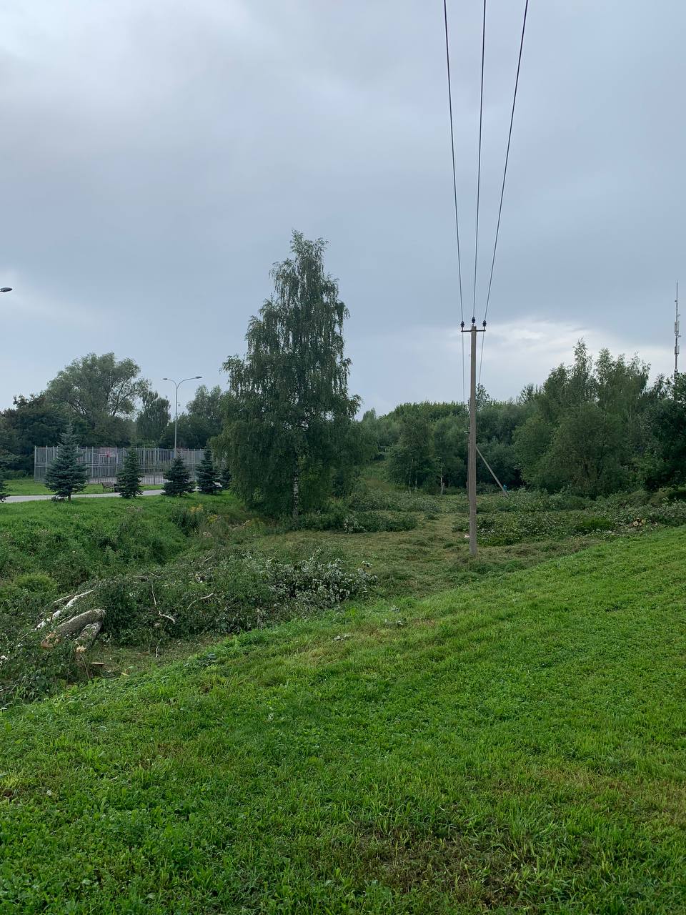 В парке на Молодёжной началась «опиловка» деревьев вдоль линии электропередач.   Как сообщают наши подписчики, идёт не опиловка, а вырубка всего, что находится в 5-10 метрах от проводов  во все стороны . Рубит ГКУ МО «Мособллес».  Уже вырублены десятки деревьев. Порубочная бригада говорит, что администрация Долгопрудного дала добро! Люди, которые сейчас находятся в парке, встают на защиту деревьев.