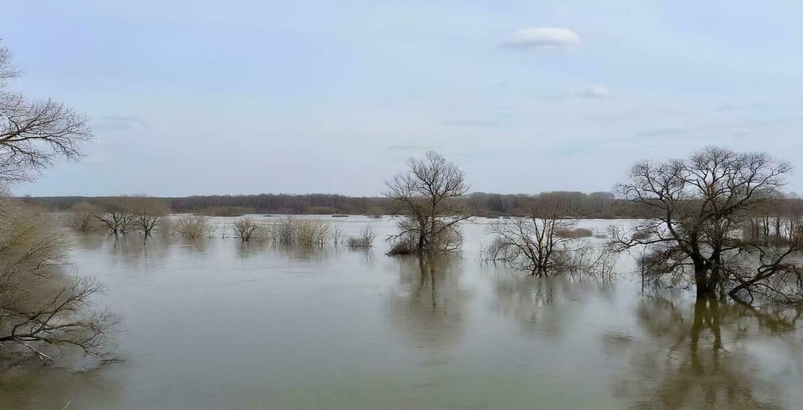 На Камчатке гидрологи усилили внимание к уровню воды в реках региона В преддверии паводков на Камчатке усилили контроль за уровнем воды в реках. Мониторинг проводят дважды в сутки на 67 постах и с помощью автоматических комплексов на водных объектах. Нажмите для подробностей -