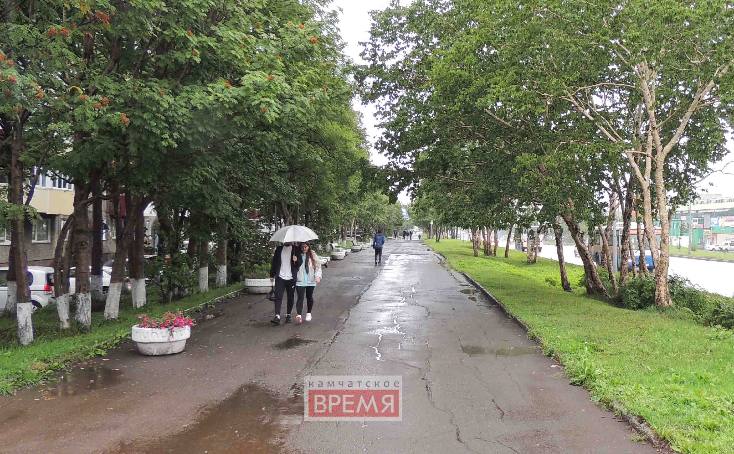 Завтра на Камчатку начнет влиять очередной охотоморский циклон  Ожидаются дожди на всем юге полуострова  В Камчатгидрометцентре рассказали, что, кроме осадков, принесет стихия, передает ИА «Камчатское время». Подробности по ссылке: