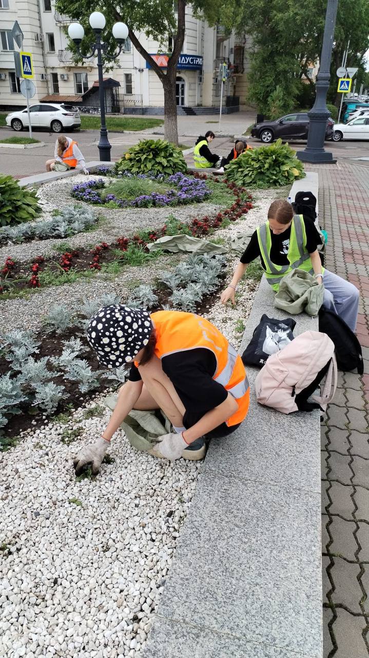 Более 230 тысяч цветов высадили в Благовещенске в этом сезоне. В областном центре завершилась работа по оформлению городских цветников. В мае клумбы украсили почти по 90 тысяч коврово-черенковых и пикированных кассетных цветов и сотня многолетников, более 600 растений поместили в вазоны. В минувшем месяце клумбы и вазоны пополнили еще более 50 тысяч саженцев. В этом году горожан радуют ирисы, хосты, страусник, миндаль, можжевельники, спиреи и другие травы, цветы и кустарники, сообщает мэрия. Перейти на сайт