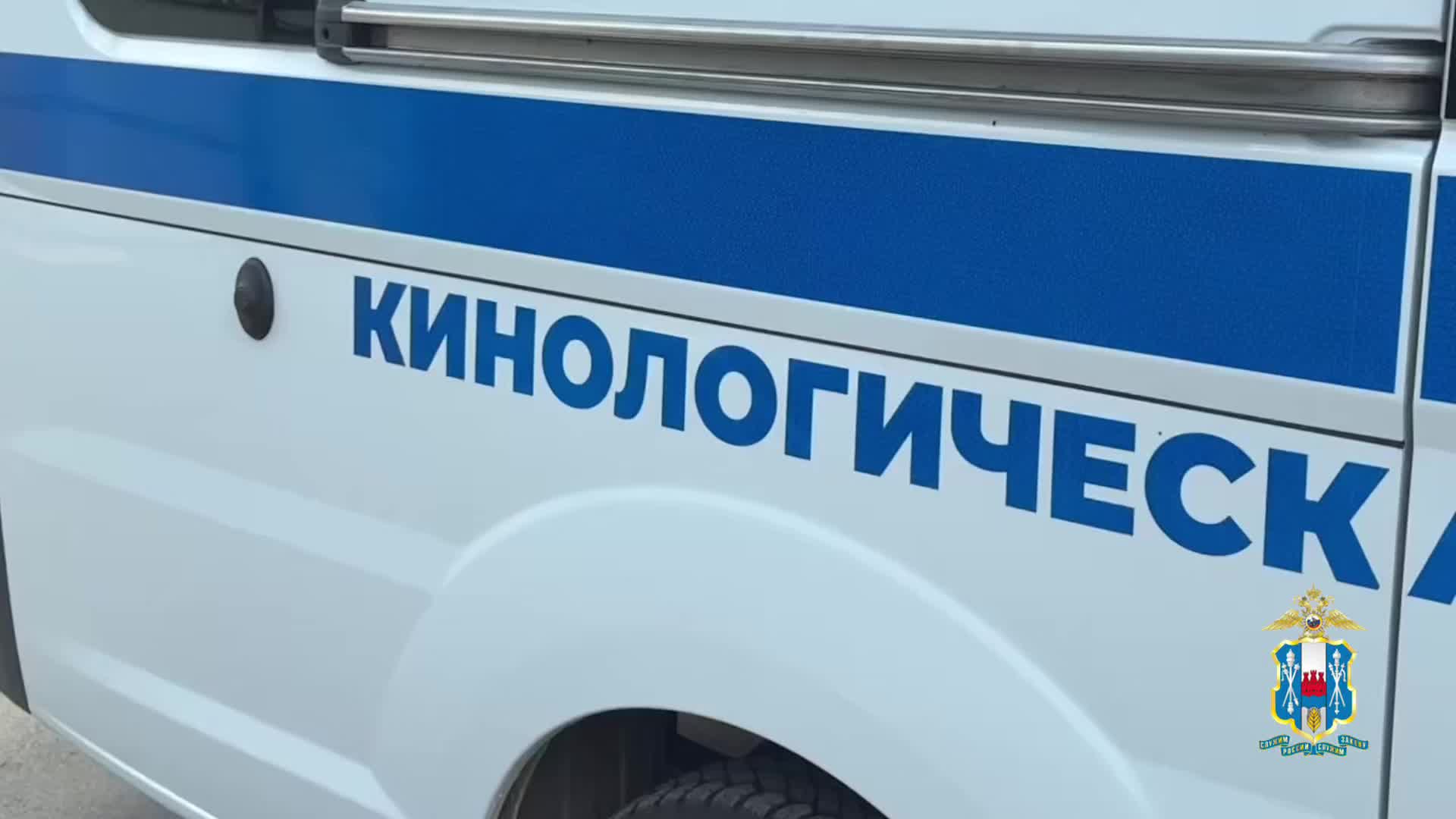 Кинологи Ростова-на-Дону и Ангарска отмечают профессиональный праздник с экскурсиями и демонстрациями