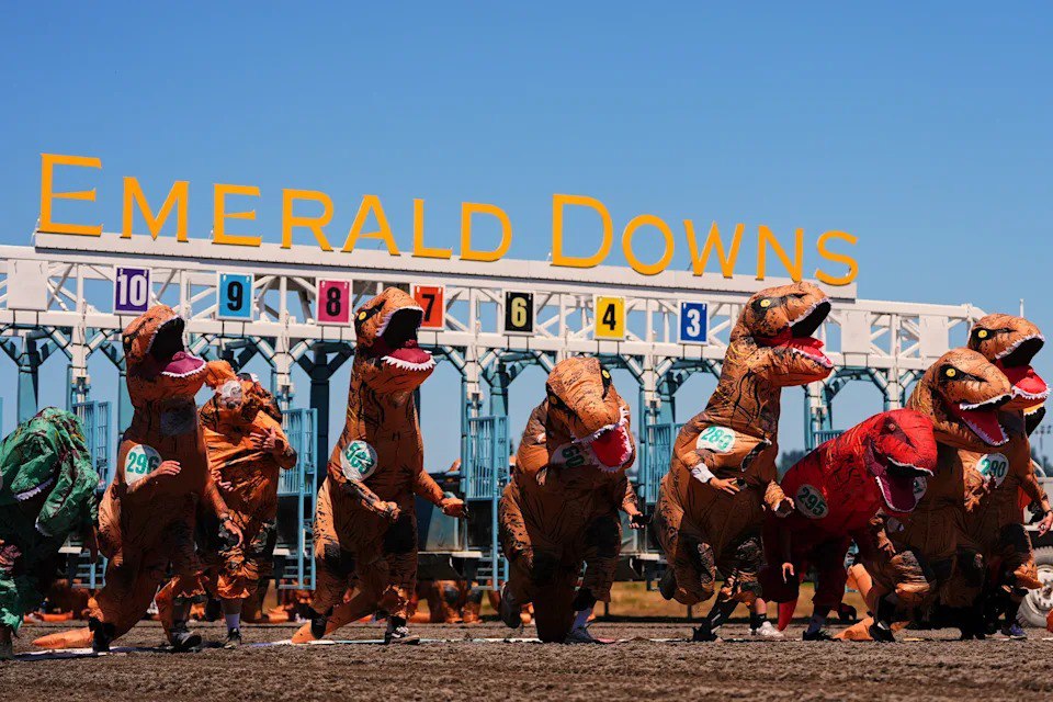 В США прошел забег в костюмах тираннозавров  На ипподроме Emerald Downs прошел ежегодный чемпионат по бегу в костюме тираннозавра. В мероприятии приняли участие более 300 человек.    Забеги в костюмах тираннозавров проводятся в городе Оберн с 2017 года. Впервые его устроили как мероприятие для тимбилдинга в компании по борьбе с насекомыми-вредителями.  Фото: AP Photo/Lindsey Wasson    Вокруг света. Подписаться
