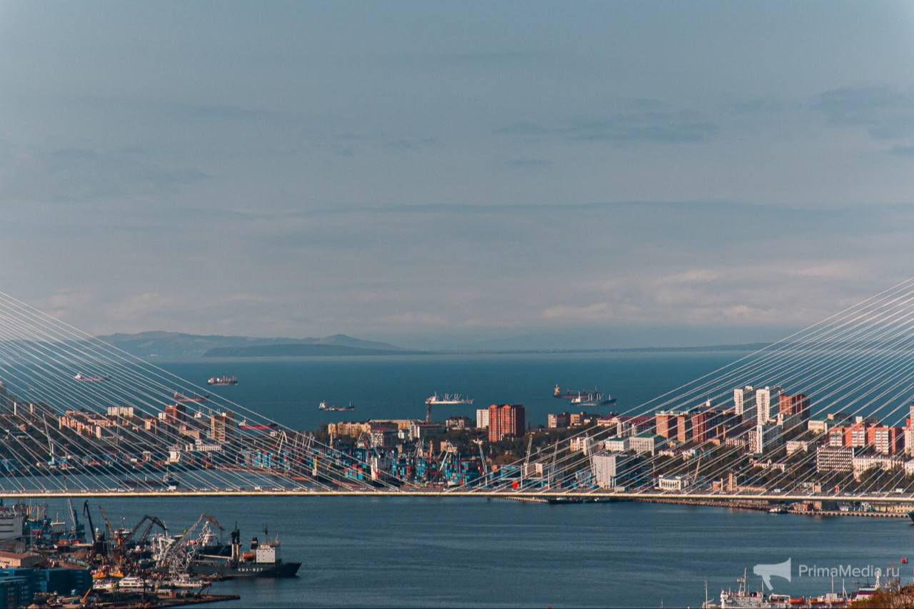 Свободный порт Владивосток и ТОР будут объединены в один формат уже через год условия получения льгот для бизнеса будут пересмотрены Единый преференциальный режим должен заработать 1 января 2027 года на всей территории ДФО и сухопутных территориях Арктической зоны Он объединит в один формат территории опережающего развития Свободный порт Владивосток Арктическую зону РФ АЗРФ международные территории опережающего развития МТОР и Курильские острова После объединения всех режимов в единый формат базовый набор льгот сохранится как в ТОР при нынешних правилах Дальнейшее расширение объема льгот будет зависеть от рентабельности бизнеса Для получения статуса резидента юридическое лицо должно реализовать новый инвестпроект который создает новые рабочие места Минимальный объем инвестиций в том числе капитальных вложений должен составлять не менее 10 млн рублей Предполагается что при выполнении ряда условий резидент может самостоятельно выбрать набор привилегий налоговые льготы административные преференции обеспечение инфраструктурой Подписывайтесь на PrimaMediaBiz