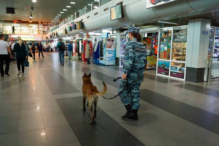 В аэропорту Иркутска сотрудники транспортной полиции задержали 30-летнего жителя Кабардино-Балкарской Республики. На мужчину указала служебно-розыскная собака Летти: сигнальной позой она обозначила возможное наличие у пассажира наркотических средств.  При личном досмотре у мужчины изъяли 0,28 грамма синтетического наркотика. Со слов задержанного, в аэропорт он приехал, чтобы улететь рейсом в Минеральные воды. Наркотик приобрел через мессенджер и забрал в тайнике-закладке для собственного употребления, без цели сбыта.  Возбуждено уголовное дело.