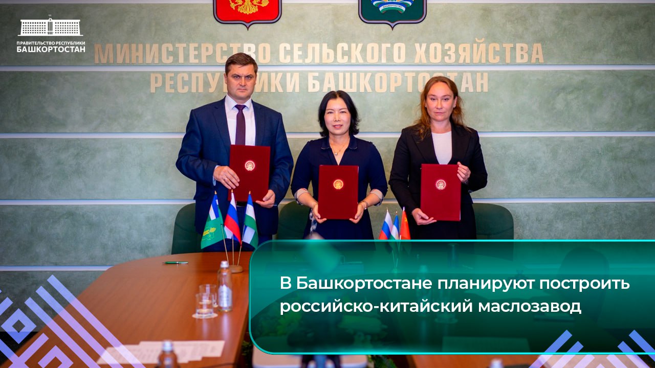 Башкирия и Китай хотят построить завод по производству растительного масла и жмыха. Производственную площадку разместят на базе Альмухаметовского элеватора в Абзелиловском районе. Сейчас проект на стадии обсуждения, хотя уже подписан меморандум между Минсельхозом, «Ресой» и китайской компанией Kaishen Group. Сумма вложений — около 500 миллионов рублей. Если все пойдет по плану, проект представят на «Инвестчасе» Радию Хабирову. По словам вице-премьера Ильшата Фазрахманова, Башкирия уже производит больше, чем может «съесть» сама. Подпишись на «Короче, Стерлитамак»