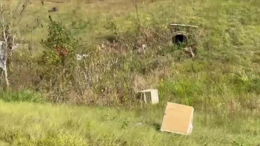 Жительница Миссисипи застрелила сбежавшую лабораторную обезьяну из-за опасений за детей