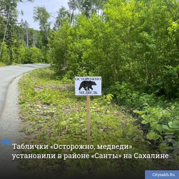 В последние недели на лыжероллерной трассе в районе «Санты» в Южно-Сахалинске появились необычные предупреждающие таблички с надписью «Осторожно, медведи». Причиной тому стала тревожная тенденция: местные жители и спортсмены стали всё чаще замечать медведей рядом с пешеходными и спортивными маршрутами. Первые сообщения о диких животных на трассе поступили как от гуляющих, так и от сотрудников комплекса. Для повышения безопасности вход на участок дороги через мост на «крюк» 5 км теперь перекрыт пластиковыми блоками. Власти города совместно с агентством лесного и охотничьего хозяйства Сахалинской области взяли район под усиленный контроль. Специалисты отслеживают перемещение животных и регулярно обследуют территорию, чтобы снизить риск встреч с опасной для человека фауной. Горожан и гостей просят с вниманием относиться к предупреждающим знакам.