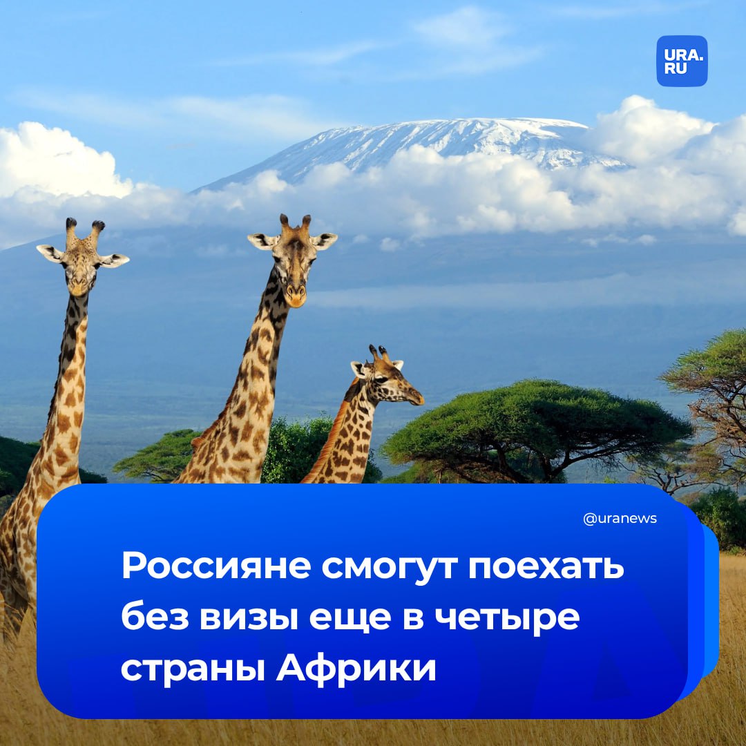 Россияне смогут посещать Замбию Зимбабве Мозамбик и Эсватини без визы заявили в МИД России Проекты соответствующих документов находятся на рассмотрении этих стран Сейчас идет работа над взаимной отменой визовых требований при краткосрочных поездках граждан с Замбией до 90 дней а также с Зимбабве Мозамбиком и Эсватини до 30 дней сообщили Известия Эксперт РСТ Михаил Абасов считает что отмена виз для россиян в эти страны важный сигнал что Африка активно выходит на мировой туристический рынок Однако по его словам с этими направлениями есть свои сложности дорога займет в среднем более суток а билет в одну сторону обойдется в более 60 тысяч рублей не везде развита инфраструктура ограничен выбор отелей высокого класса пляжный отдых развит лишь точечно а также языковой и информационный барьер Подписаться на URA RU мы в MAX