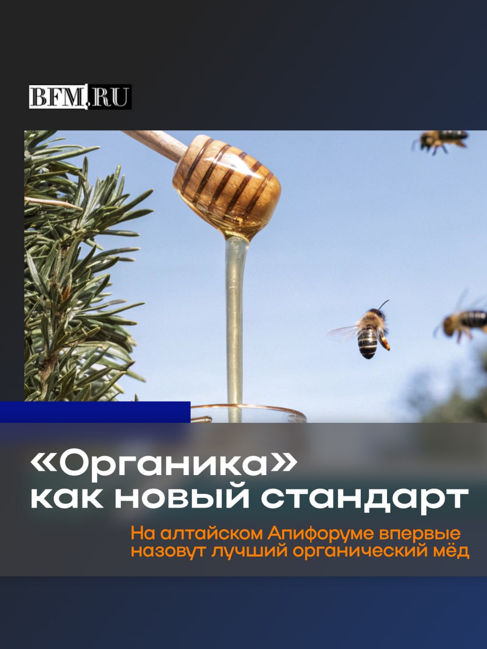 Органический продукт назовут на полях Апифорума Алтай 2025 Знак Органика присваивают только тем продуктам которые прошли специальную сертификацию подтверждающую его экологическую чистоту и безопасность Войдет ли этот мед в число финалистов конкурса Лучший мед России пока большая интрига Она разрешится 4 декабря В этот же день назовут имя Лучшего пчеловода Алтайского края Стартует Апифорум 3 декабря сразу на нескольких площадках в Титов Арене будет развернута большая ярмарка меда там же будет представлена медовая карта России В аграрном университете сосредоточится деловая часть форума где эксперты обсудят проблемы и тренды отрасли А в Алтайском театре драмы будет развернута медовая карта края Business FM Барнаул