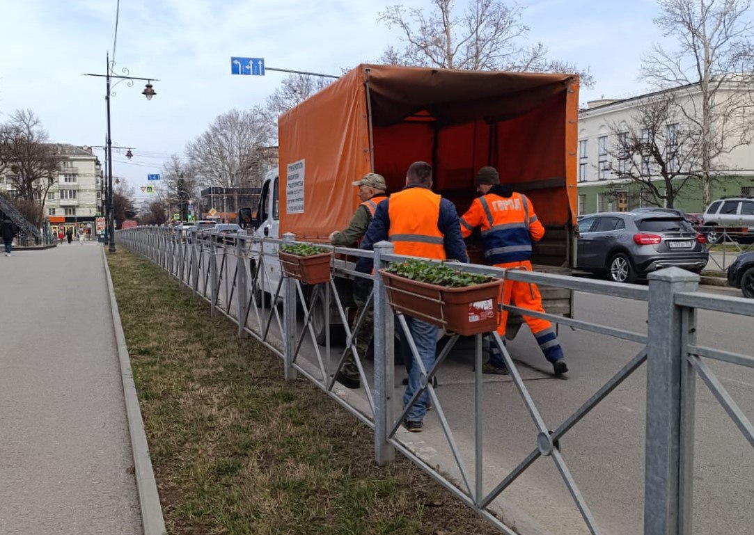 Более 880 кашпо с виолами разных расцветок установят в Симферополе  Об этом сообщили в пресс-службе администрации Симферополя. Специалисты «Горзеленхоза» уже подготовили рассаду и высадили её в кашпо, а сотрудники МУП «Город» устанавливают их на улицах столицы.