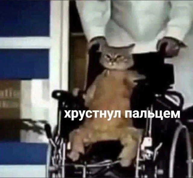18 го и 19 апреля в жилых массивах Московского Приволжского и Советского районов Казани организуют выездную вакцинацию кошек и собак Также на местах проведут чипирование и регистрацию животных Делимся адресами в новости   inde io news v poselkah kazani projdet besplatnaya vyezdnaya vakczinacziya zhivotnyh