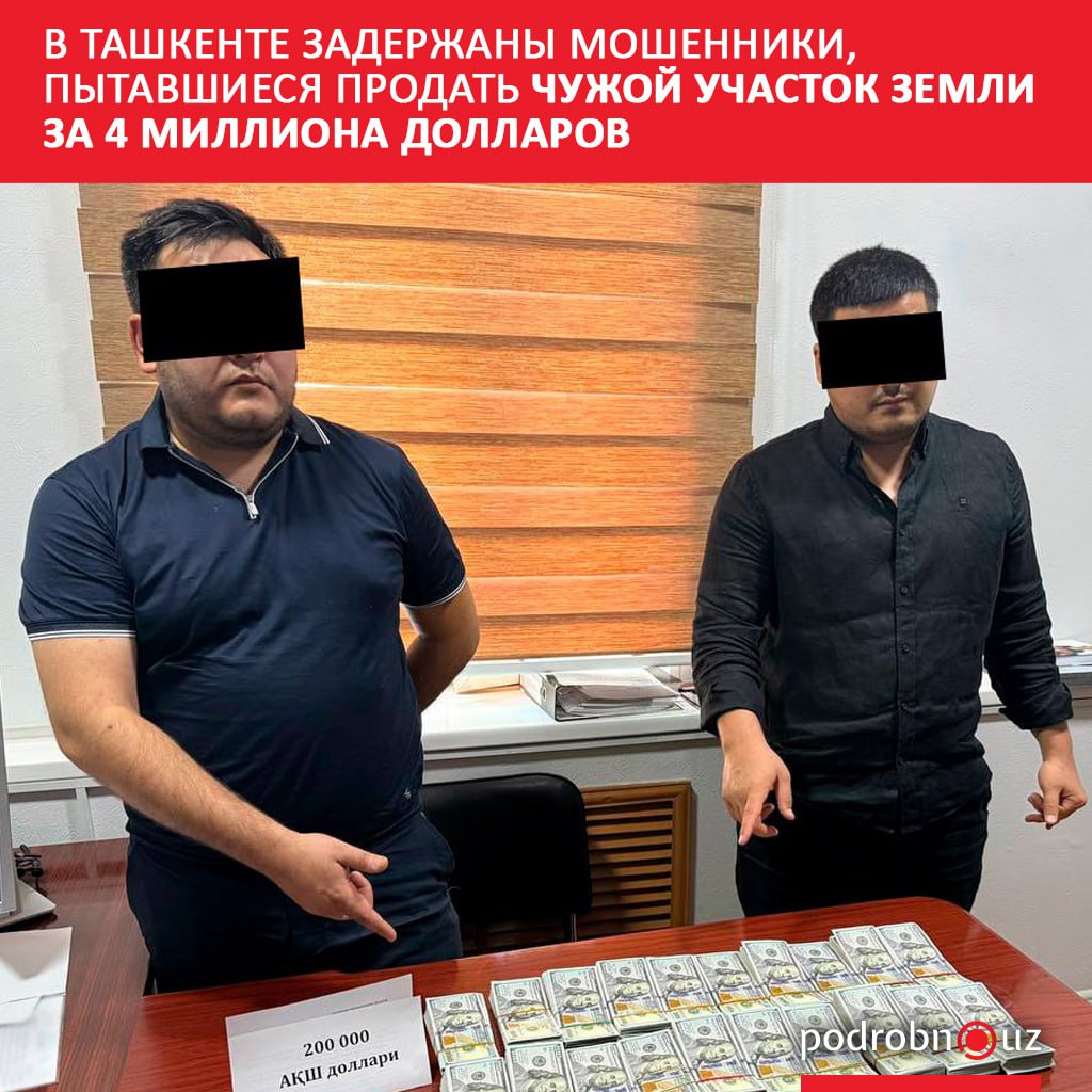 В Ташкенте пресечена попытка крупного мошенничества при продаже земли Двое мужчин пытались незаконно реализовать предпринимателю участок площадью 50 соток за 4 миллиона долларов Задержание прошло в момент когда они получили аванс в 200 тысяч долларов podrobno uz cat proisshestviya v tashkente zaderzhany moshenniki pytavshiesya prodat chuzhoy uchastok zemli za 4 milliona dollarov Telegram Instagram Facebook Читать на узбекском