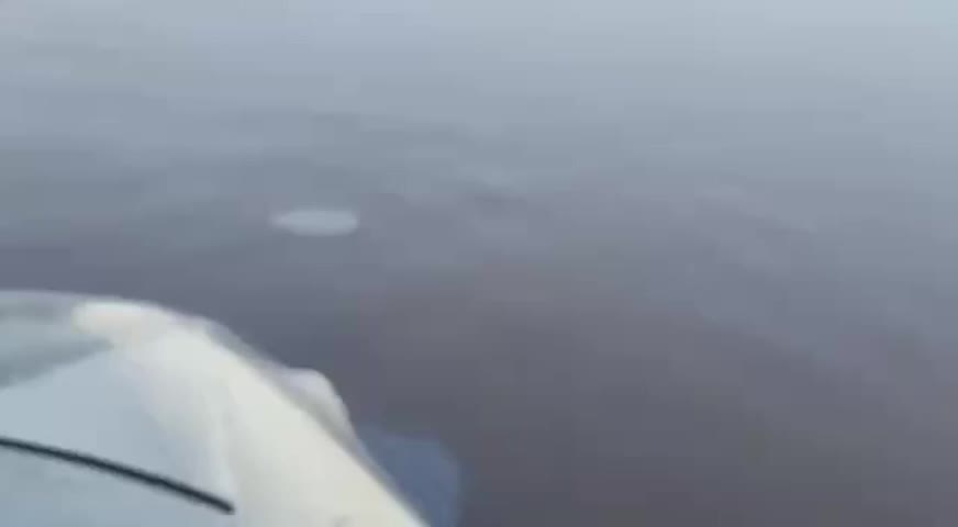 Возможный разлив нефти в заливе Старый Набиль: экологи и специалисты проверяют информацию