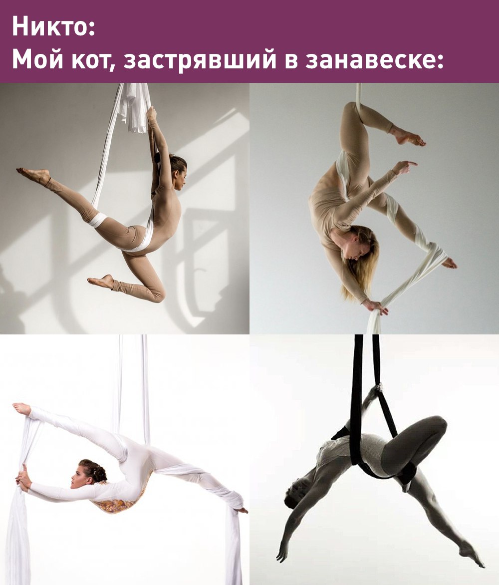Петербурженка застряла в гамаке для аэройоги на 7 часов во время домашней тренировки.  Освободил её вернувшийся с работы муж. К счастью обошлось без серьезных травм и последствий  А что ещё случилось?