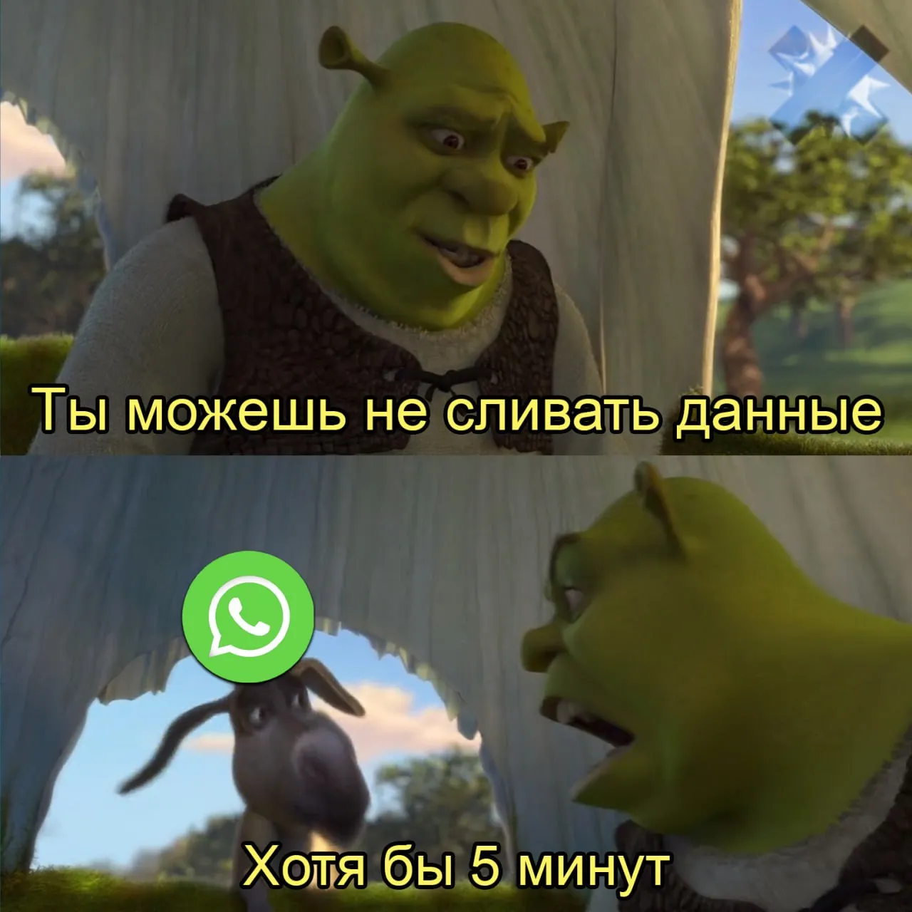 Дуров назвал шифрование WhatsApp самым большим обманом пользователей Он заявил что мессенджер якобы может читать сообщения и передавать данные третьим лицам несмотря на заявления о безопасности Поводом стал коллективный иск против Meta В нём говорится о возможном доступе сотрудников WhatsApp к переписке через скрытый механизм в коде если это правда то жесть самый защищённый мессенджер принадлежит Meta экстремистской организации деятельность которой запрещена в РФ НМШ