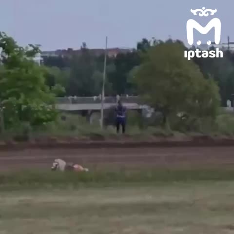 Пони устроили драку на детских скачках в Альметьевске