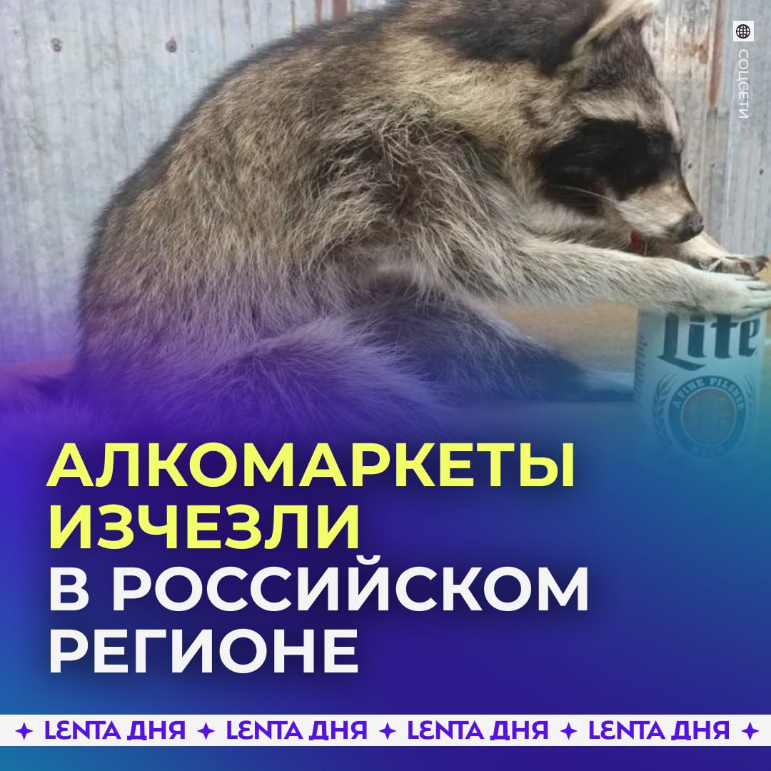Алкомаркеты ушли в прошлое В Вологодской области фактически ликвидировали формат магазинов ориентированных на продажу алкоголя Сетевые точки либо сменили названия и формат либо полностью отказались от спиртного А большинство наливаек закрыты или переделаны под кафе По словам главы региона алкомаркетов в привычном виде в области больше нет Что думаете   Подпишись на Ленту дня MAX ТГ