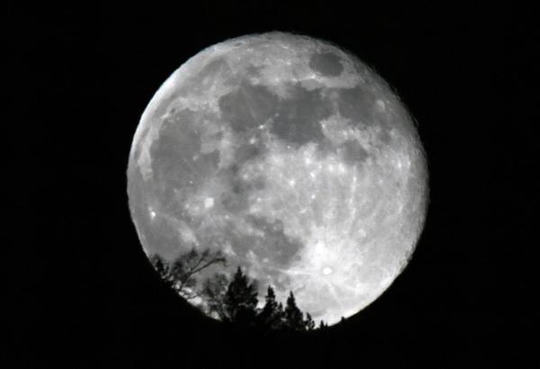 Космонавт счёл перспективными экспедиции на Луну и Марс Они нам по силам При этом посещение дальних планет пока маловероятно так как человек вряд ли сможет добраться туда живым Об этом в эфире радиостанции Говорит Москва рассказал космонавт испытатель отряда космонавтов Роскосмоса Алексей Зубрицкий Если рассматривать Луну и Марс то в теории они нам по силам даже на нашем веку Если рассматривать более дальние планеты то нет гарантий что человек долетит туда живым А Луна и Марс при нынешнем развитии технологий как планомерное развитие человека в космосе очень даже это возможно и перспективно Полную версию интервью читайте на сайте govoritmoskva ru news 482099