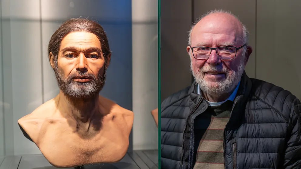 Анализ ДНК показал что семья жителя немецкой деревни Фёрсте живёт там уже три тысячи лет Мы всегда считались старожилами в нашем селе говорит Манфред Хухтхаузен из деревушки Фёрсте в Гарце Нижняя Саксония Но он и представить не мог насколько давно поселились там его прародители Учёные сделали сенсационное открытие три тысячи лет назад предки Хухтхаузен жили в пещере всего в двух километрах от его дома То есть как минимум 120 поколений Хухтаузенов обитали в этой местности Останки и ДНК В 1980 году археологи нашли в Лихтенштейнской пещере 4200 костей и фрагментов костей около 60 человек от младенцев до стариков захороненных примерно в 1000 году до н э Среди останков бронзовые украшения керамика кости животных семена растений и остатки одежды Директор музея HöhlenErlebnisZentrum в Бад Грунде доктор Бригитте Мориц объясняет Покойников сначала хоронили в другом месте а потом переносили сюда Это было повторное захоронение путешествие в потусторонний мир Следы костров в пещере указывают на то что здесь проходили погребальные ритуалы В 2007 году исследователи Гёттингенского университета смогли расшифровать древнюю ДНК останков Тогда они предложили жителям близлежащего Фёрсте сдать образцы слюны Хухтхаузен был среди 120 добровольцев Через девять месяцев я получил письмо от окружной администрации вспоминает он Там было написано вы один из тех из пещеры Я подумал это ошибка Но нет всё оказалось верно Вероятно это были торговцы солью Что известно о тех кто жил 3000 лет назад Многое На их костях нет следов тяжёлого физического труда ранений или насилия говорит Мориц Вероятно они были торговцами солью Белое золото добывали из солёной воды выпаривая её в глиняных сосудах Условия в Гарце были для этого идеальны поясняет она Благодаря ДНК анализу и другим методам учёные теперь даже знают как выглядели эти люди рост цвет глаз и волос схожи с обликом нынешних жителей региона У Хухтхаузена двое сыновей один остался жить в деревне как и сотни его предков Здесь так красиво что здесь можно жить вечно говорит он BILD Russian