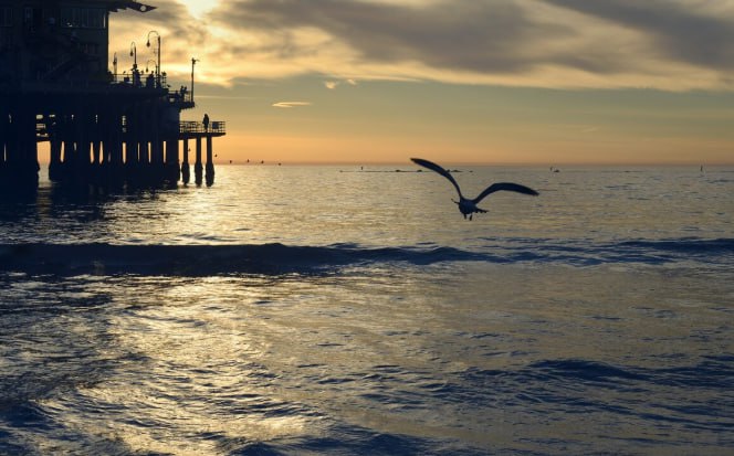 Добыча биоресурсов в Черном и Азовском морях выросла на 26 в 2025 году Объем добычи водных биоресурсов за данный период составил 54 тысячи тонн что на 26 5 опережает показатели вылова водных биоресурсов прошлого года и является максимальным за последние 4 года сообщили в Азово Черноморском филиале Всероссийского научно исследовательского института рыбного хозяйства и океанографии Общий объем вылова в Черном море составил около 34 тысяч тонн в 2025 году что на 51 больше 2024 года Основными массовыми объектами промысла в Черном море являются хамса и шпрот в Азовском пиленгас бычки камбала калкан АПК Трендыиитоги2025 Freepik wirestock