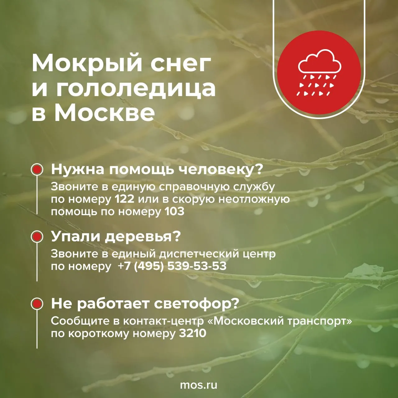 Вечером 7 апреля в столице ожидается мокрый снег гололедица и налипание снега на проводах Непогода продлится до утра 8 апреля Пешеходам и водителям нужно быть предельно внимательными Автомобилистам советуют соблюдать дистанцию и избегать резких маневров При аварийных ситуациях звоните по номеру 112