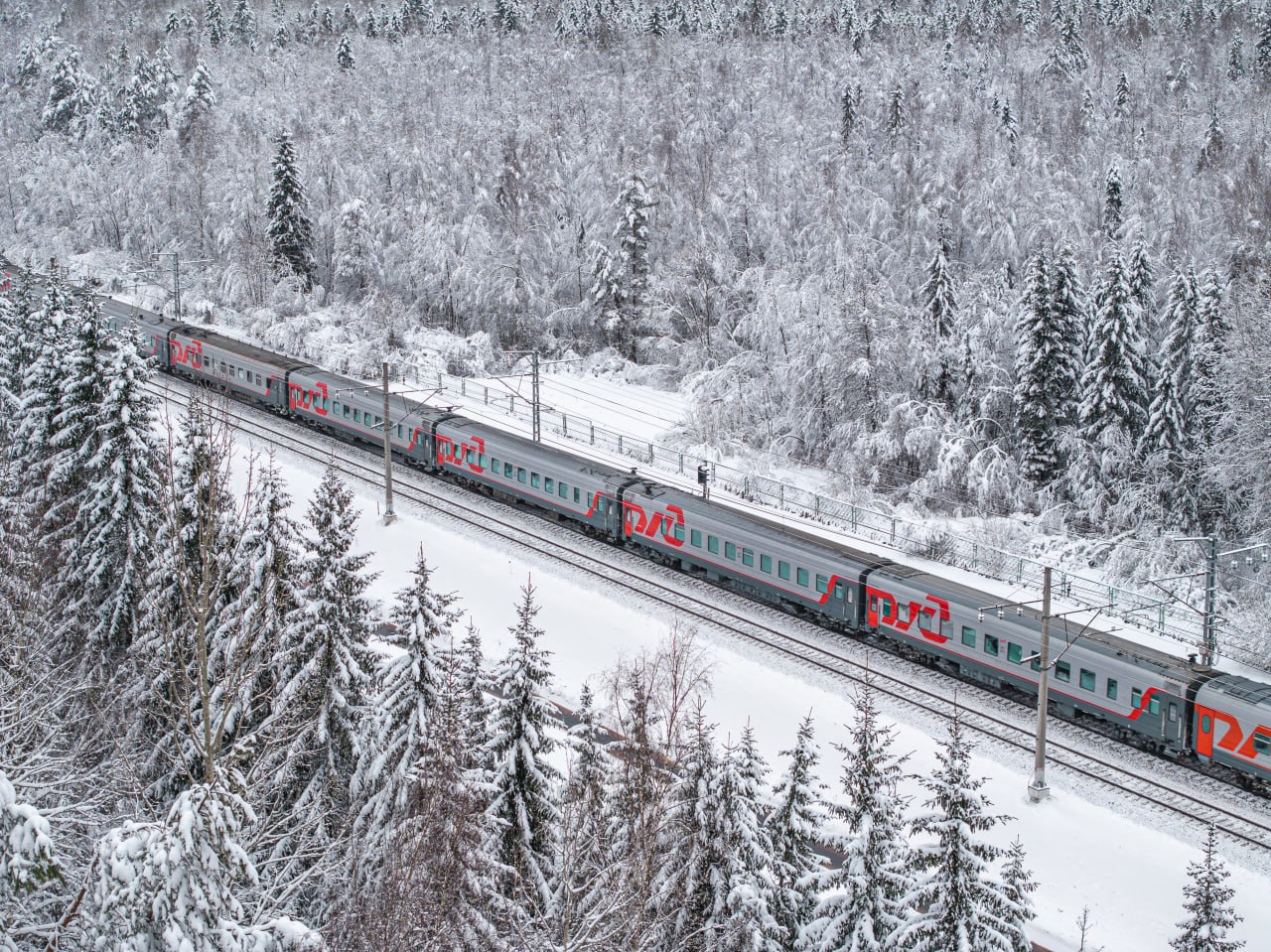 Более 700 дополнительных рейсов поездов будет назначено в новогодние праздники Дополнительные рейсы появятся на самых популярных маршрутах например из Москвы в Адлер Санкт Петербург Нижний Новгород Иваново Казань Воронеж Ярославль Челябинск Оренбург Уфу Ульяновск Волгоград Астрахань и другие города из Санкт Петербурга в Москву Екатеринбург Казань Мурманск Архангельск Ярославль из Екатеринбурга Тюмени и Перми в Котлас между Самарой и Адлером Нижним Новгородом и Кировом Ростовом на Дону и Кисловодском и по другим направлениям Всего с 26 декабря по 12 января в поездах дальнего следования будет предложено более 5 5 млн мест что соответствует показателю за аналогичный период прошлого года Ожидается что пиковыми датами отправления пассажиров в новогодние праздники станут 30 декабря и 11 января Отметим что в праздничные дни будут также курсировать почти два десятка туристских поездов в числе которых Зимняя сказка По Золотому кольцу В Карелию Рускеальский экспресс Жигулевские выходные Мороз экспресс Уральский экспресс и т д Приобрести билеты и узнать подробности можно онлайн на нашем сайте в веб приложении и мобильном приложении РЖД Пассажирам а также в кассах Подписаться на Телеграмму РЖД Голосовать за канал Подписаться на РЖД в MAX Каналы железных дорог