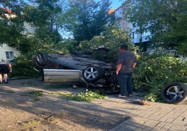 В Ростове-на-Дону на улице Казахской произошло дорожно-транспортное происшествие с опрокидыванием автомобиля. Согласно сообщениям очевидцев, водитель Volkswagen Passat, двигаясь в районе дома № 153, потерял управление транспортным средством. В результате столкновения автомобиль перевернулся на крышу и по пути повредил дерево, дорожные знаки и мусорные контейнеры. По предварительным данным, пострадавших нет.