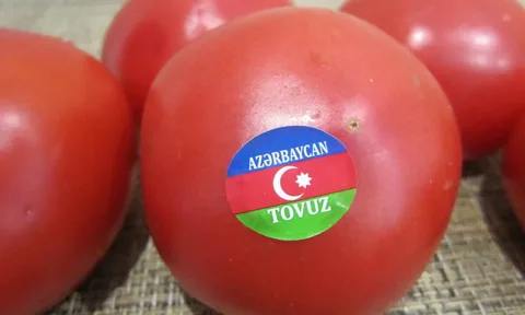 Какие последствия ждут агросектор в случае разрыва сотрудничества с Азербайджаном.   Товарооборот продукции АПК между странами составляет около $1,6 млрд. При этом потенциал российского продовольственного экспорта в Азербайджан к 2030 году еще недавно оценивали в $1 млрд.   Россия — крупнейший поставщик аграрной продукции в Азербайджан, на долю которого приходится почти треть продовольственного импорта республики. Основа экспорта — пшеница, подсолнечное масло, кондитерские изделия, сахар, мясная продукция, безалкогольные напитки. Ежегодно отгрузки российского зерна в Азербайджан превышают 1 млн тонн. За последние два года объем поставок мяса птицы из России вырос более чем в 2 раза, и у России есть  или были до настоящего времени  все шансы стать главным поставщиком этой продукции в Азербайджан.   Для России Азербайджан — также значимый хаб для поставок продовольствия по коридору Север-Юг в Иран и другие страны региона.    Россия для Азербайджана — один из ключевых рынков по экспорту овощей и фруктов, а в 2024 году Азербайджан стал основным поставщиком томатов в Россию.   В 2024 году из Азербайджана в Россию было ввезено порядка 540 тыс. тонн овощей и фруктов: 153,4 тыс. тонн овощной продукции  141,9 тыс. тонн томатов, 5,2 тыс. тонн перцев и кабачков, 2,7 тыс. тонн огурцов, 1,2 тыс. тонн лука и чеснока  и 386,6 тыс. тонн фруктов  186,6 тыс. тонн ягод и прочих фруктов, 93,4 тыс. тонн семечковых, 87,4 тыс. тонн косточковых, 6,3 тыс. тонн винограда, 5,8 тыс. тонн цитрусовых, 5,5 тыс. тонн дынь и арбузов, 1,7 тыс. тонн сухофруктов .   Вывод:   В случае разрыва отношений пострадают поставщики и потребители продукции обеих стран, но для Азербайджана такой сценарий будет, пожалуй, более болезненным. Россия, безусловно, получит определенные неудобства, но сможет относительно безболезненно перестроить потоки и компенсировать выпадающие объемы экспорта и импорта  да, помидоры подорожают . А вот Азербайджан потеряет ключевой рынок сбыта фруктов и овощей, быстро заместить который будет непросто.  ™  Агрономика
