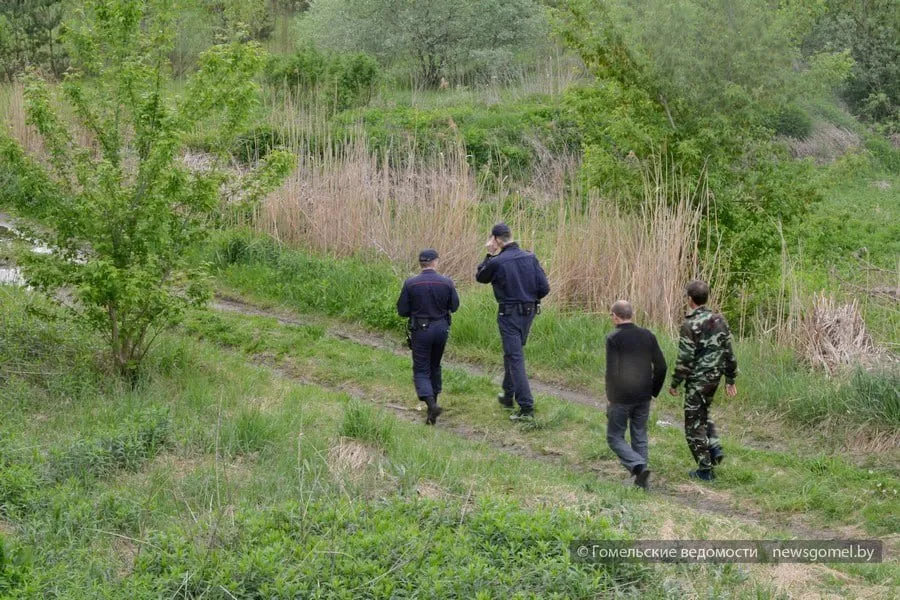 В Гомеле усилили отлов бродячих животных на Шведской Горке После резонансного случая нападения бездомных собак на школьницу на Шведской Горке в этом микрорайоне продолжаются рейдовые мероприятия по отлову животных с участием четырёх бригад КУП Спецкоммунтранс сотрудников РОВД участковых МЧС дружинников К ним присоединились СМИ