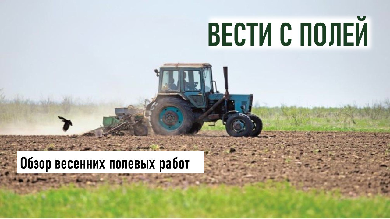 Сельскохозяйственные товаропроизводители Луганской Народной Республики активно продолжают сев яровых культур, сообщили в Минсельхозе ЛНР. По последним данным уже выполнено: Общая площадь посева яровых культур составляет 173,5 тыс. га 46,8% от плана : ⏺зерновые и зернобобовые культуры посеяны на 53,0 тыс. га 81,7% от плана ; ⏺технические культуры посеяны на 119,1 тыс. га 39,3% от плана ; ⏺кормовые культуры засеяны на 1,3 тыс. га 51,4% от плана ; ⏺ овощные культуры на 55,6 га; ⏺бахчевые культуры на 1,5 га; ⏺картофель на 1,0 га. Муниципалитеты-лидеры: Краснодонский МО - 100,7% от плана; Перевальский МО - 154,0% от плана; Беловодский МО - 130,1% от плана; Старобельский МО - 109,2% от плана.