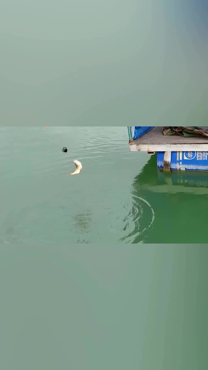 Казахстанский стартап запускает дистанционную рыбалку через интернет