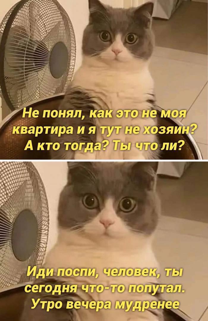 Россияне рассказали, на чем будут экономить. 26% лишает себя путешествий, на предметах роскоши экономят 21-23%, а на развлечениях 11-13%, — Ромир.   Единственные расходы, которые россияне не намерены сокращать — домашние питомцы.     Экономика на ночь