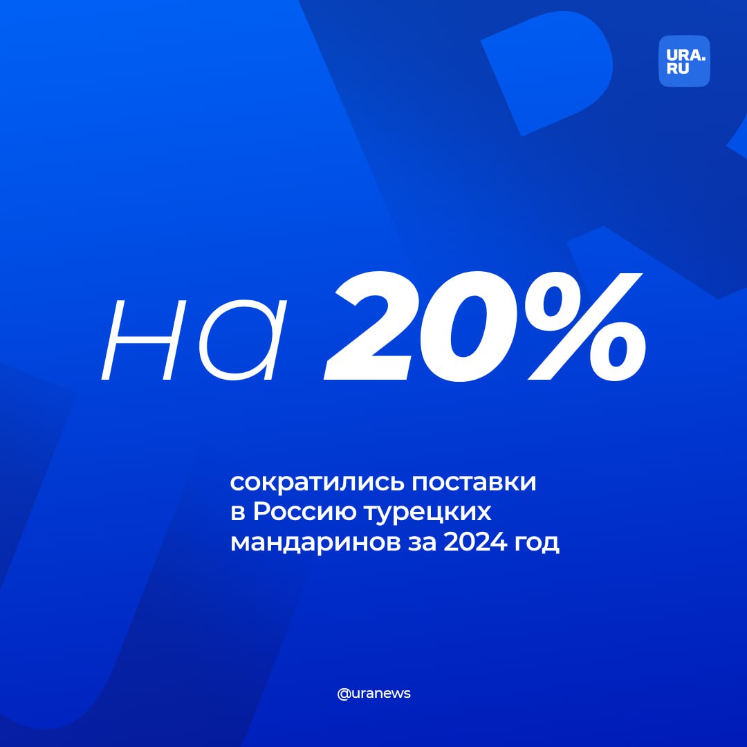 Турция сократила поставки мандаринов в Россию на 20% в этом году. За январь-октябрь импортеры ввезли более 161 тысячи тонн турецкого фрукта. В прошлом году объем поставок составил 202,3 тысячи тонн.   Однако уменьшилась и цена ввезенных мандаринов — до 97,6 млн долларов: это примерно на 22% меньше прошлогодней, следует из данных турецкой статслужбы.