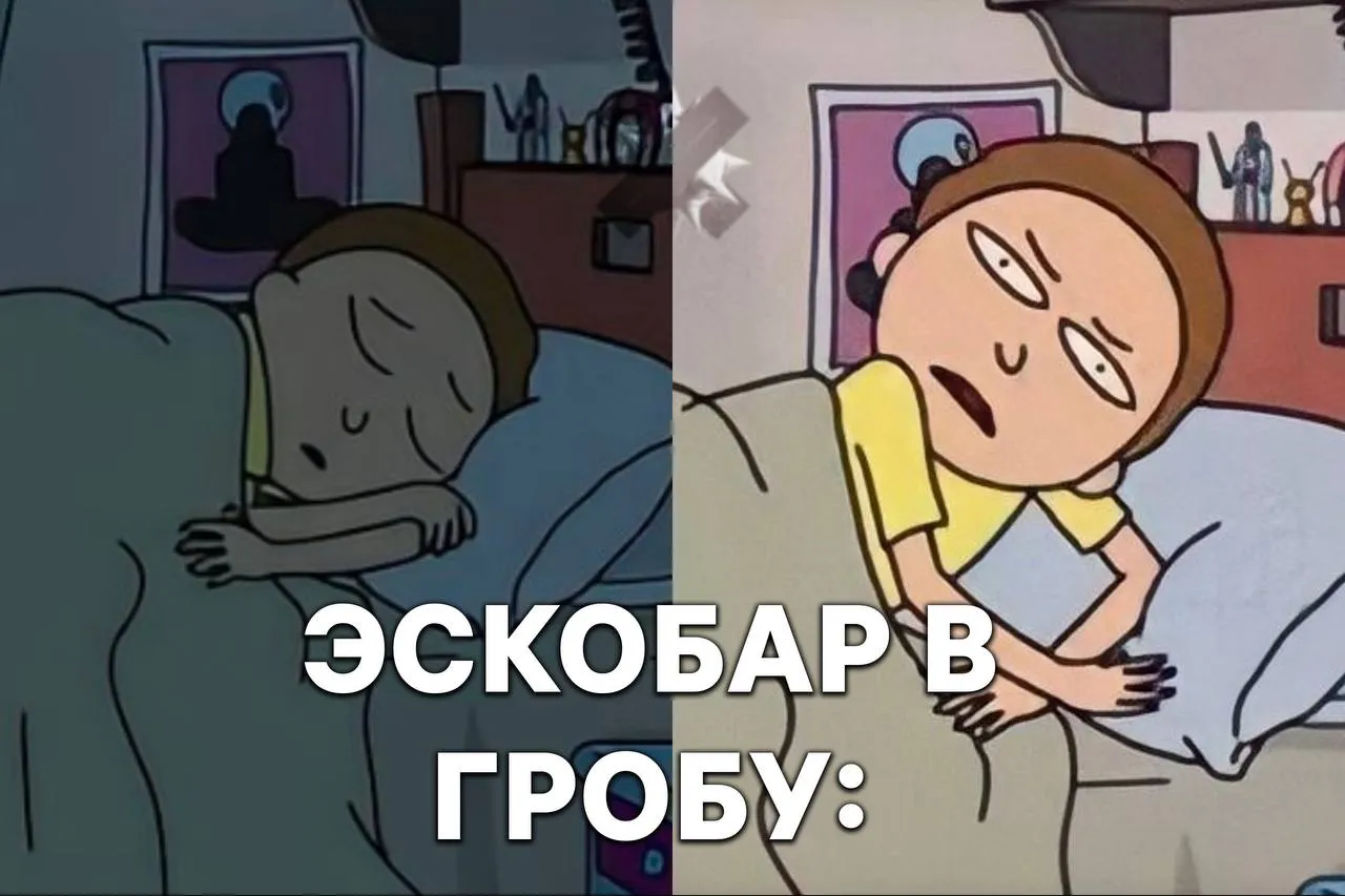 В Индии спасли бегемотов Пабло Эскобара Колумбия хотела истребить 80 бегемотов которые расплодились после смерти наркобарона и начали вредить экосистеме Их перевезли в частный заповедник Вантара индийского магната Ананты Амбани   бегемотики спасены теперь это индийские бегемотики НМШ