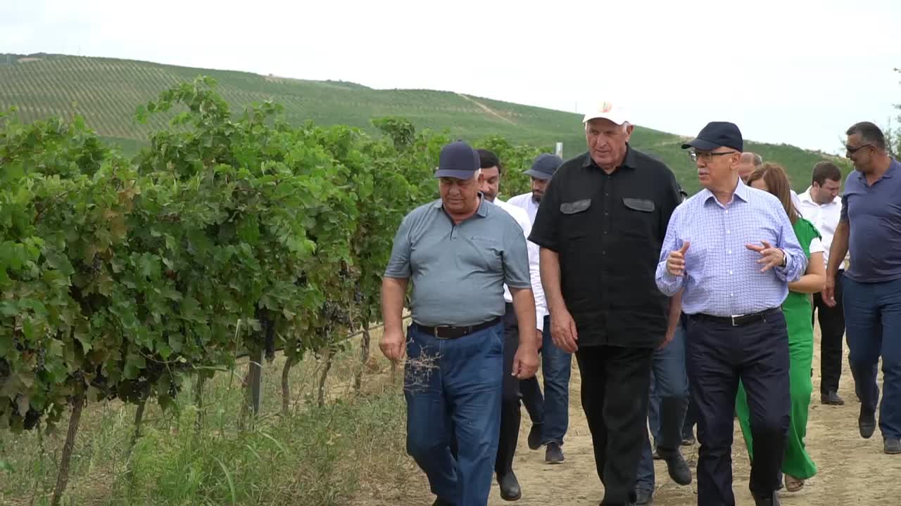 Абдулмуслим Абдулмуслимов проверил уборочную кампанию и развитие агропромышленности в Дербенте