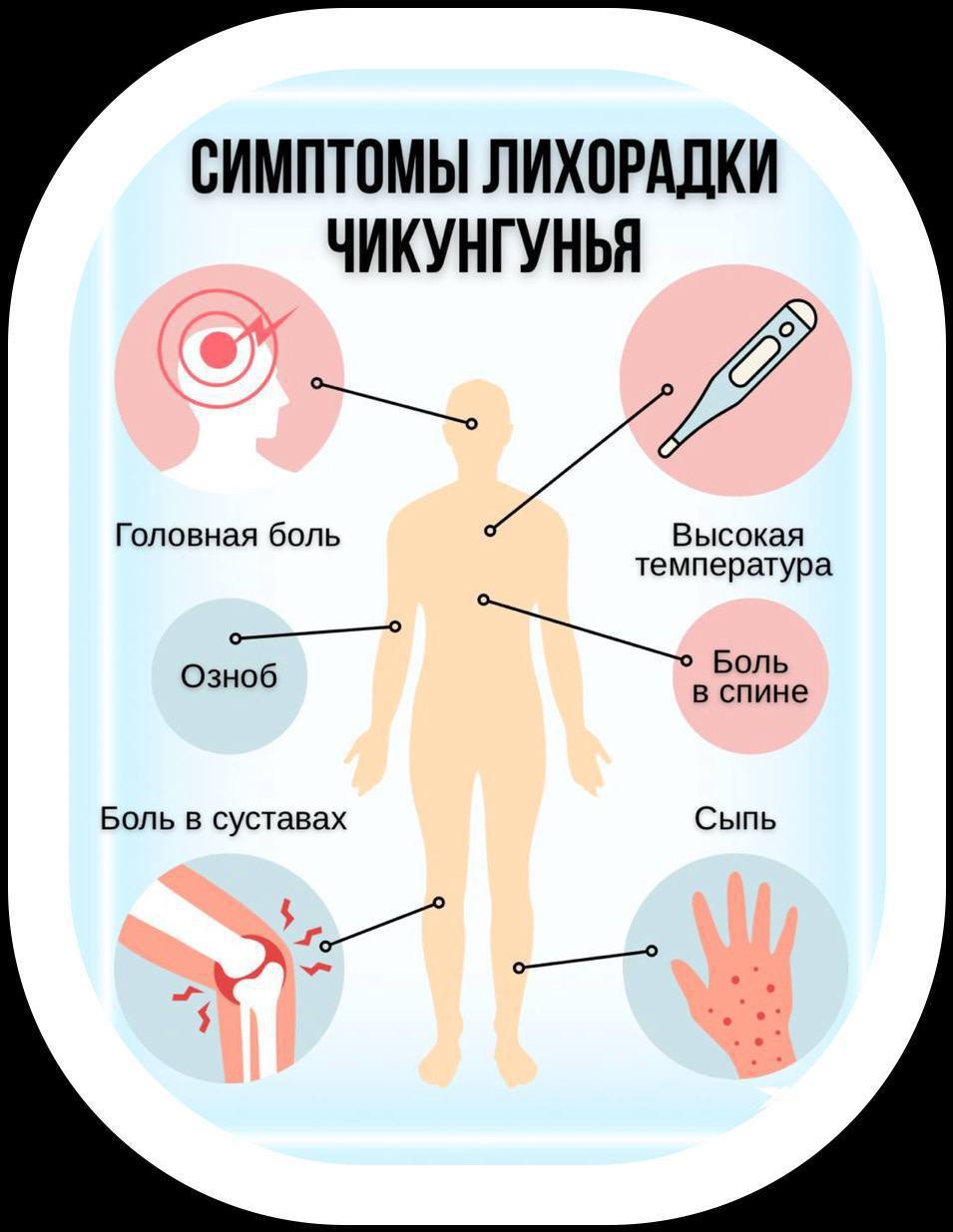 Обнаруженный в Китае вирус Чикунгунья представляет собой новую угрозу здоровью населения. Передача инфекции осуществляется посредством укусов инфицированных комаров. Клиническая картина болезни схожа с симптомами острой респираторной вирусной инфекции, однако характеризуется специфическими признаками: кожными высыпаниями и значительным повышением температуры тела.  По последним данным, количество подтвержденных случаев заражения превысило отметку в шесть тысяч человек. В связи с ростом заболеваемости российские санитарные службы приняли решение усилить меры предосторожности на пограничных пунктах пропуска. Возобновлена практика массовых проверок прибывающих пассажиров, включая обязательные измерения температуры и проведение мероприятий по дезинсекции территорий, подверженных риску распространения вируса.  Подписаться   Предложить новости