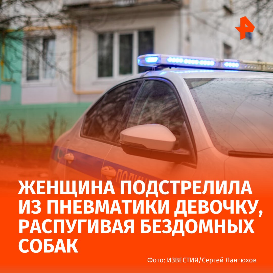 Школьница получила ранение в голову после того как женщина решила пострелять из окна по бездомным животным Инцидент произошел в Ленобласти По данным регионального МВД подросток самостоятельно обратилась за медицинской помощью По предварительным данным 48 летняя жительница Киришей находясь у себя в квартире произвела несколько выстрелов из пневматического пистолета по бездомным животным Один из выстрелов случайно задел проходившую мимо 14 летнюю девочку Подозреваемая задержана решается вопрос о возбуждении уголовного дела РЕН ТВ в Telegram в MAX
