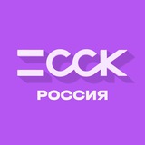 Строительная компания ССК