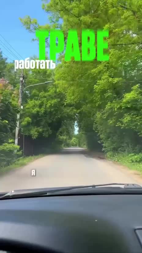 В России растет спрос на услуги по стрижке травы: мужчины зарабатывают до 10 тысяч рублей в день