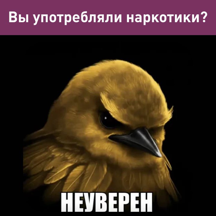 Петербуржца лишили водительских прав из за корма для попугаев пишут СМИ После ДТП мужчина 16 часов ждал ДПС в машине и по его словам от голода съел корм для птиц с семенами конопли Он утверждал что именно это и стало причиной обнаружения следов запрещённых веществ в его крови но суд не поверил в эту историю и лишил мужика водительского удостоверения на год А что ещё случилось